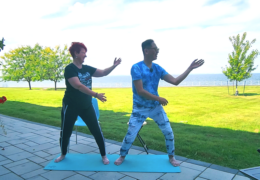 danceFLOW qigong/taichi LIVE (Fall 2023) — Video Replay Access